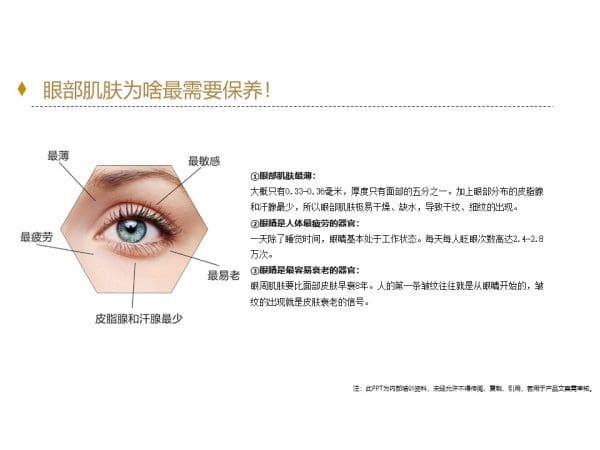 Kanuka Peptide Firming Anti-Wrinkle Eye Care Set - Image 14