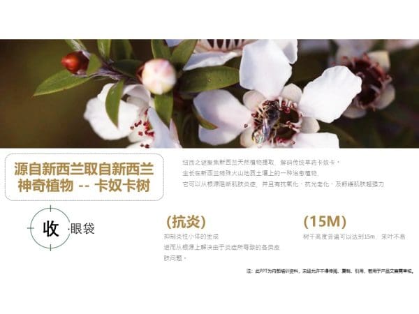 Kanuka Peptide Firming Anti-Wrinkle Eye Care Set - Image 8